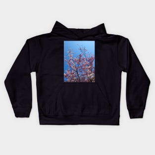 Pink cherry blossom, blue sky 22 Kids Hoodie